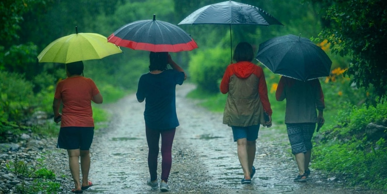 Umbrella Information