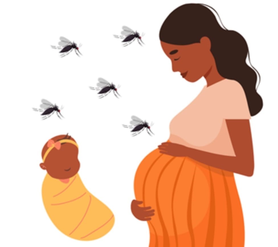 Zika Virus