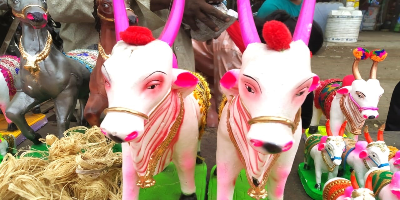 Bail Pola