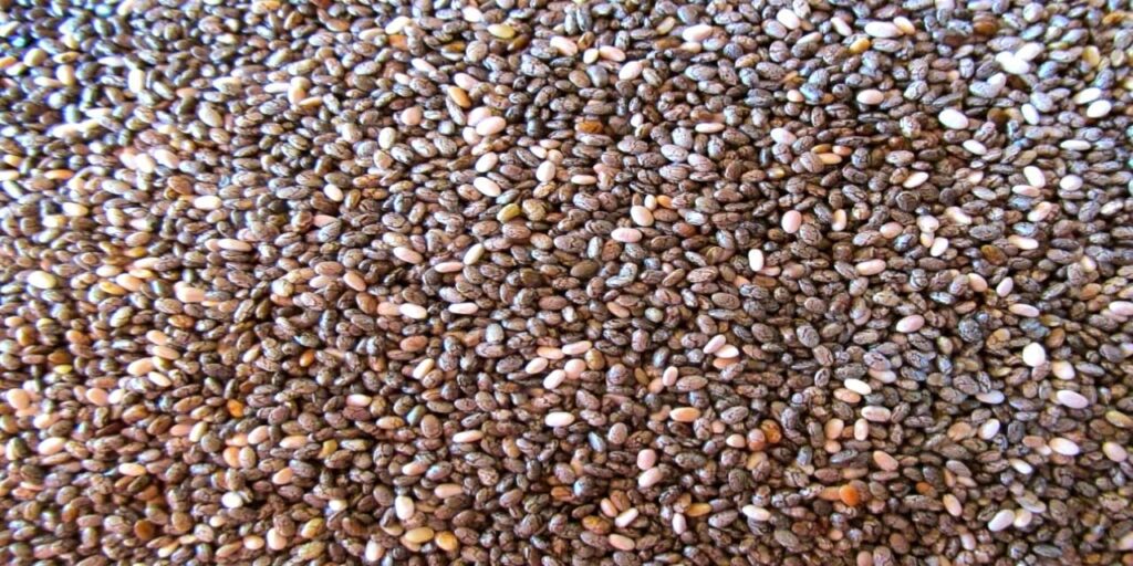 Benefits of Chia Seeds in Weight Loss